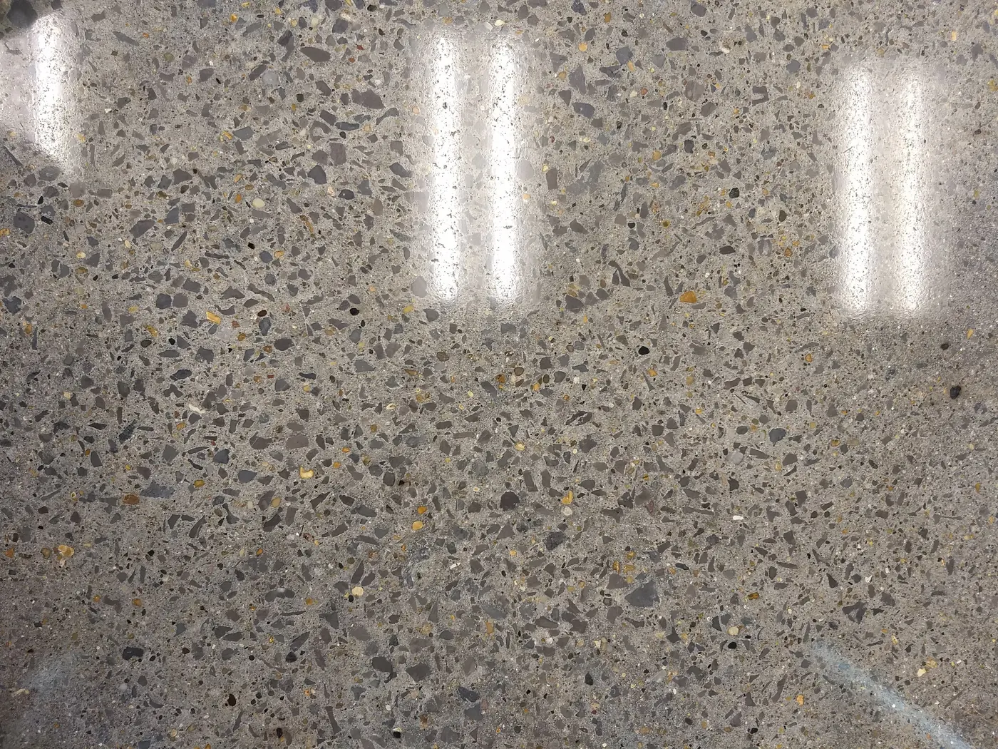 Terrazzo style polished concrete
